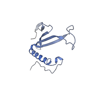 41657_8tw2_IW_v1-0
Acinetobacter phage AP205 T=4 VLP