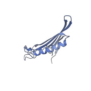 41657_8tw2_IZ_v1-0
Acinetobacter phage AP205 T=4 VLP