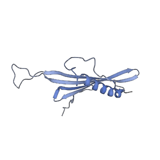41657_8tw2_JC_v1-0
Acinetobacter phage AP205 T=4 VLP