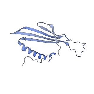 41657_8tw2_JD_v1-0
Acinetobacter phage AP205 T=4 VLP