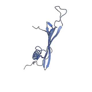 41657_8tw2_JE_v1-0
Acinetobacter phage AP205 T=4 VLP