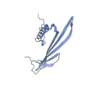 41657_8tw2_JF_v1-0
Acinetobacter phage AP205 T=4 VLP