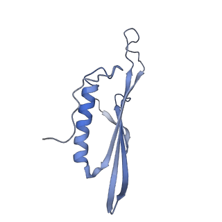 41657_8tw2_JG_v1-0
Acinetobacter phage AP205 T=4 VLP