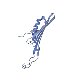 41657_8tw2_JH_v1-0
Acinetobacter phage AP205 T=4 VLP