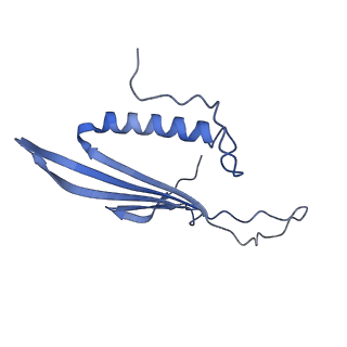 41666_8twc_AD_v1-0
Acinetobacter phage AP205 T=3 VLP