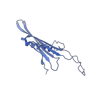 41666_8twc_AG_v1-0
Acinetobacter phage AP205 T=3 VLP