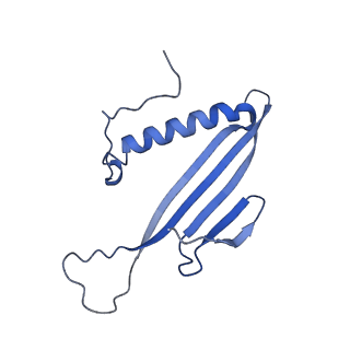 41666_8twc_AH_v1-0
Acinetobacter phage AP205 T=3 VLP