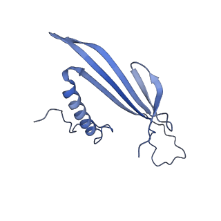 41666_8twc_AM_v1-0
Acinetobacter phage AP205 T=3 VLP