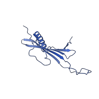 41666_8twc_AP_v1-0
Acinetobacter phage AP205 T=3 VLP