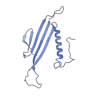 41666_8twc_AR_v1-0
Acinetobacter phage AP205 T=3 VLP