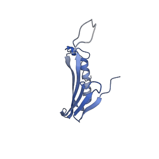 41666_8twc_AT_v1-0
Acinetobacter phage AP205 T=3 VLP