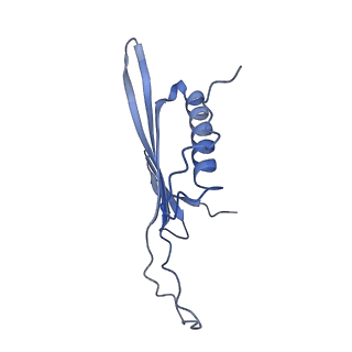 41666_8twc_AV_v1-0
Acinetobacter phage AP205 T=3 VLP