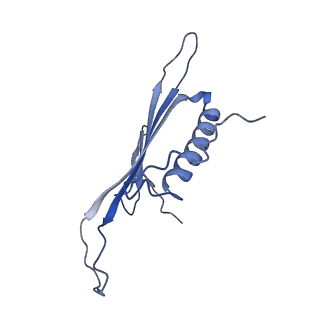 41666_8twc_AX_v1-0
Acinetobacter phage AP205 T=3 VLP