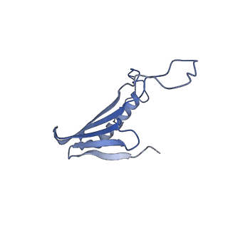 41666_8twc_AY_v1-0
Acinetobacter phage AP205 T=3 VLP