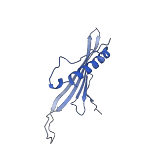 41666_8twc_AZ_v1-0
Acinetobacter phage AP205 T=3 VLP