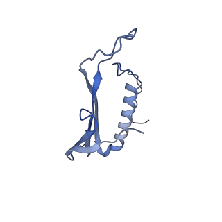 41666_8twc_BA_v1-0
Acinetobacter phage AP205 T=3 VLP