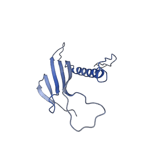 41666_8twc_BD_v1-0
Acinetobacter phage AP205 T=3 VLP