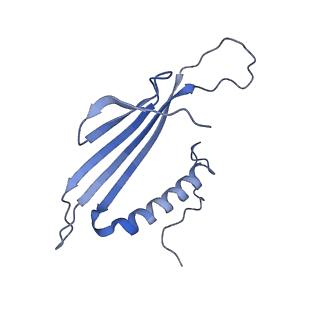 41666_8twc_BG_v1-0
Acinetobacter phage AP205 T=3 VLP