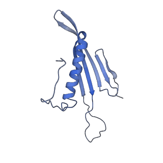 41666_8twc_BH_v1-0
Acinetobacter phage AP205 T=3 VLP