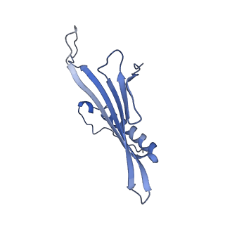 41666_8twc_BI_v1-0
Acinetobacter phage AP205 T=3 VLP