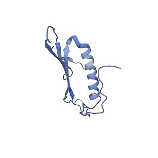 41666_8twc_BJ_v1-0
Acinetobacter phage AP205 T=3 VLP