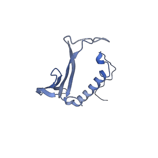 41666_8twc_BL_v1-0
Acinetobacter phage AP205 T=3 VLP