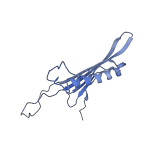 41666_8twc_BN_v1-0
Acinetobacter phage AP205 T=3 VLP