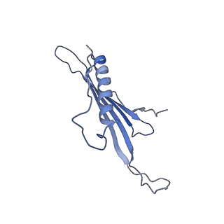 41666_8twc_BP_v1-0
Acinetobacter phage AP205 T=3 VLP