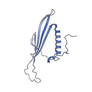 41666_8twc_BR_v1-0
Acinetobacter phage AP205 T=3 VLP