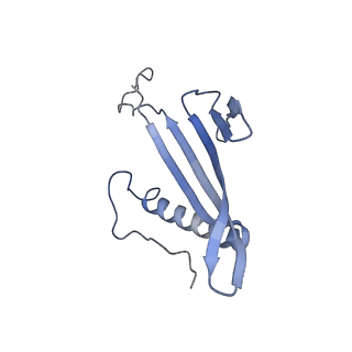 41666_8twc_BT_v1-0
Acinetobacter phage AP205 T=3 VLP