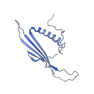 41666_8twc_BV_v1-0
Acinetobacter phage AP205 T=3 VLP