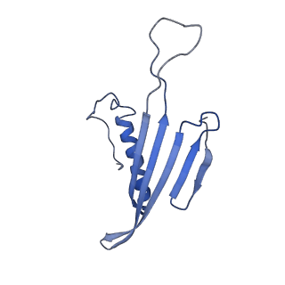 41666_8twc_BW_v1-0
Acinetobacter phage AP205 T=3 VLP