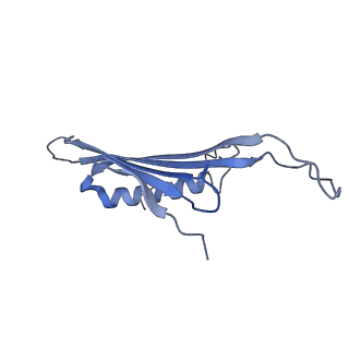 41666_8twc_BY_v1-0
Acinetobacter phage AP205 T=3 VLP