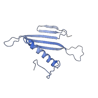 41666_8twc_CB_v1-0
Acinetobacter phage AP205 T=3 VLP