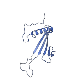 41666_8twc_CC_v1-0
Acinetobacter phage AP205 T=3 VLP