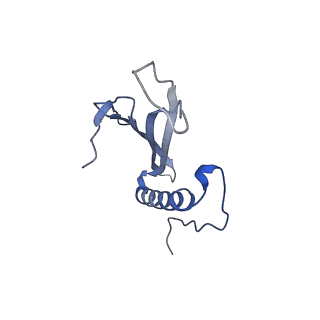 41666_8twc_CD_v1-0
Acinetobacter phage AP205 T=3 VLP