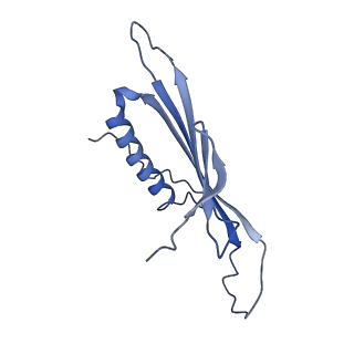 41666_8twc_CE_v1-0
Acinetobacter phage AP205 T=3 VLP