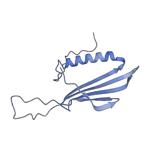 41666_8twc_CI_v1-0
Acinetobacter phage AP205 T=3 VLP