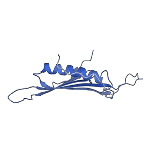 41666_8twc_CN_v1-0
Acinetobacter phage AP205 T=3 VLP