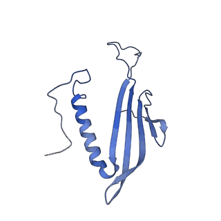 41666_8twc_CR_v1-0
Acinetobacter phage AP205 T=3 VLP