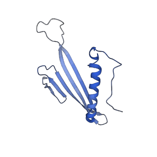 41666_8twc_CS_v1-0
Acinetobacter phage AP205 T=3 VLP