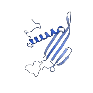 41666_8twc_CU_v1-0
Acinetobacter phage AP205 T=3 VLP