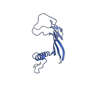 41666_8twc_CV_v1-0
Acinetobacter phage AP205 T=3 VLP