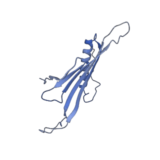 41666_8twc_CW_v1-0
Acinetobacter phage AP205 T=3 VLP