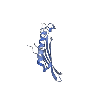 41666_8twc_CY_v1-0
Acinetobacter phage AP205 T=3 VLP