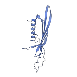 41666_8twc_DA_v1-0
Acinetobacter phage AP205 T=3 VLP