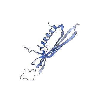 41666_8twc_DB_v1-0
Acinetobacter phage AP205 T=3 VLP