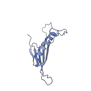 41666_8twc_DC_v1-0
Acinetobacter phage AP205 T=3 VLP