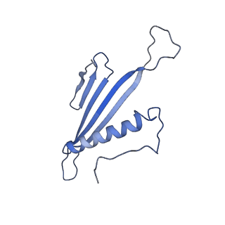 41666_8twc_DF_v1-0
Acinetobacter phage AP205 T=3 VLP