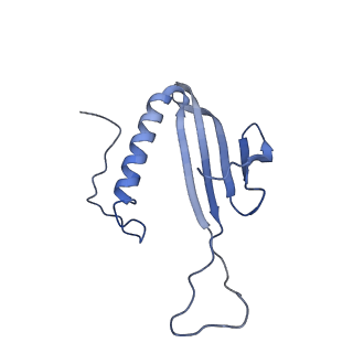 41666_8twc_DG_v1-0
Acinetobacter phage AP205 T=3 VLP